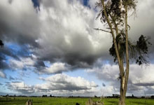 逆袭传奇历史，一路前行稳占积分榜首位