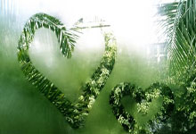 阿根廷巴西激战，双方战成平局