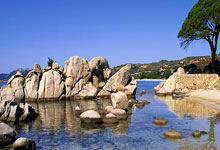 申花主场大战胜负，耶拉维奇致胜夺下三分