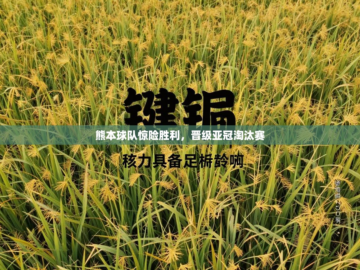 熊本球队惊险胜利,晋级亚冠淘汰赛 第2张